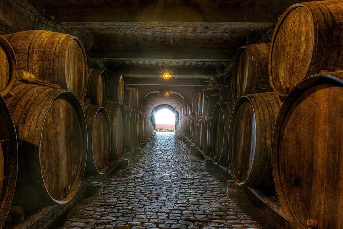 Winery Tour and Tasting in Tenerife With the Sommelier - Cancellation Policy and Accessibility