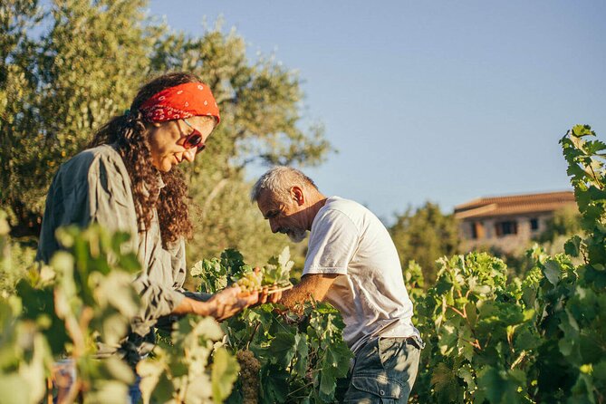 Winery Tour and Tasting in Zakynthos With the Winemaker - Closing the Memorable Tour Experience