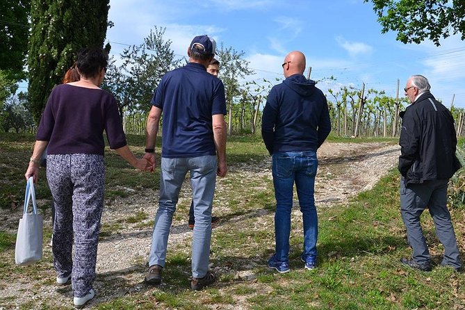 Winery Tour and Tasting of Garda Wines in Lazise - Tour Through Vineyards and Barrel Room