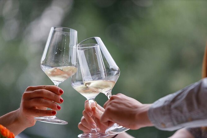 Winery Tour and Tasting of Garda Wines in Lazise - Inclusions in the Tour and Tasting