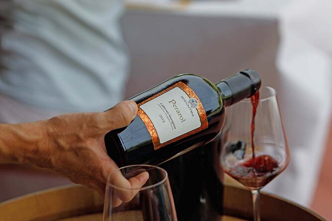 Winery Tour and Tasting of Garda Wines in Lazise - Accessibility and Accommodations