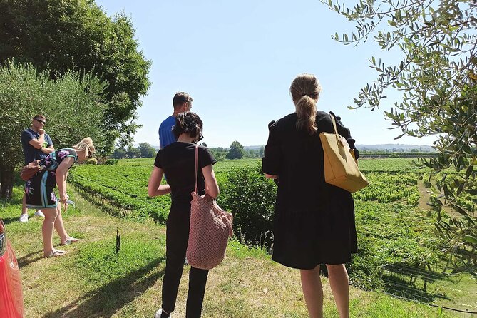 Winery Tour and Tasting of Garda Wines in Lazise - Cancellation and Refund Policy
