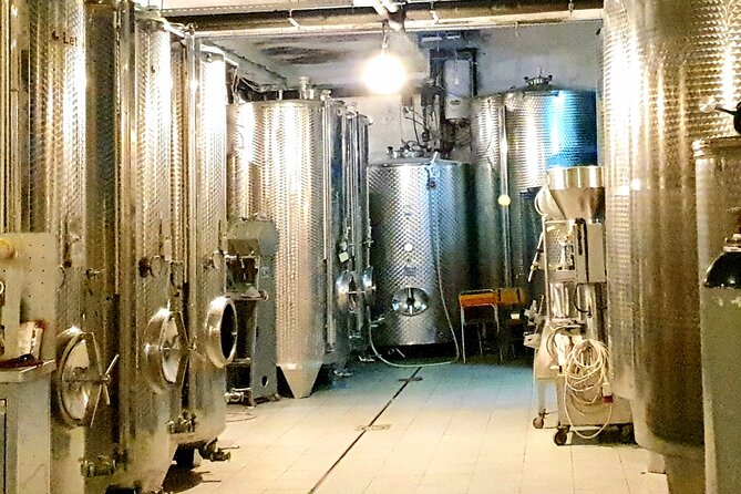 Winery Tour and Tasting With the Sommelier in KRK - Experience Highlights
