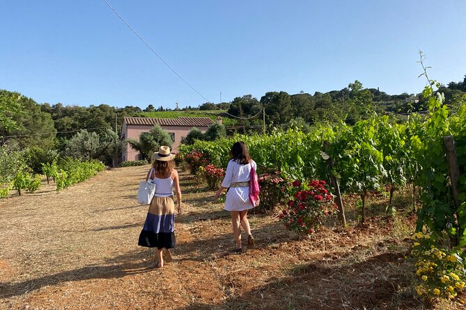 Winery Tour and Tasting With the Winemaker in Elba Island - Quick Points