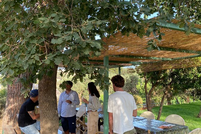 Winery Tour and Tasting With the Winemaker in Elba Island - Learning About Elbas Wine History
