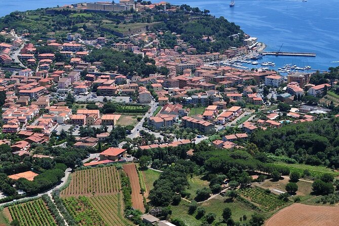 Winery Tour and Tasting With the Winemaker in Elba Island - Tour Logistics and Meeting Point