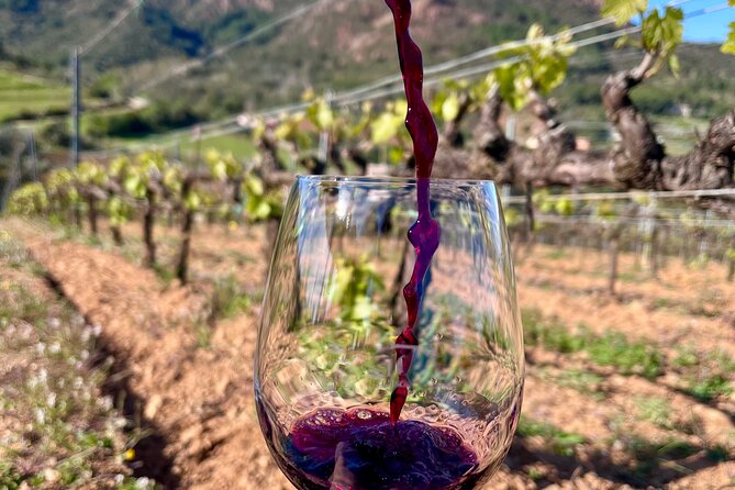 Winery Tour and Tasting With the Winemaker in Elba Island - Pricing and Cancellation Policy