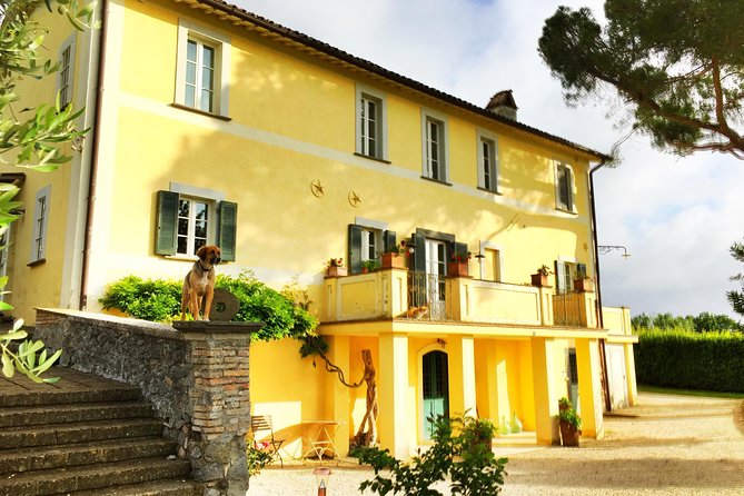 Winery Tour and Wine, Cheese & Charcuterie Tasting - Tasting Menu
