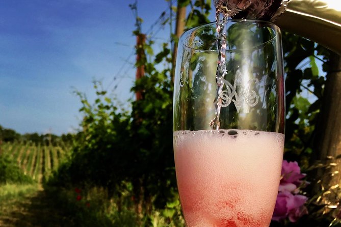 Winery Tour and Wine, Cheese & Charcuterie Tasting - Booking and Cancellation