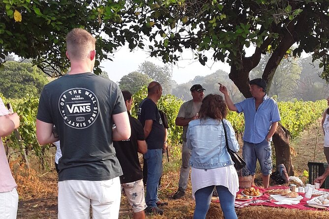 Winery Tour and Wine Tasting in Calabria - About Your Stay