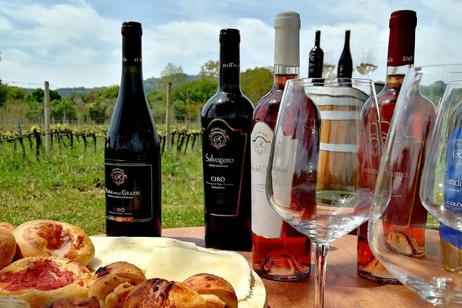 Winery Tour and Wine Tasting in Calabria - Highlights of the Experience