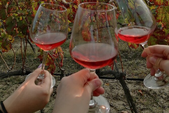Winery Tour and Wine Tasting in Calabria - Savoring Local Delicacies