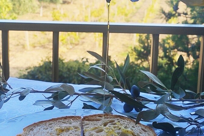 Winery Tour and Wine Tasting in Calabria - Worth The Stay