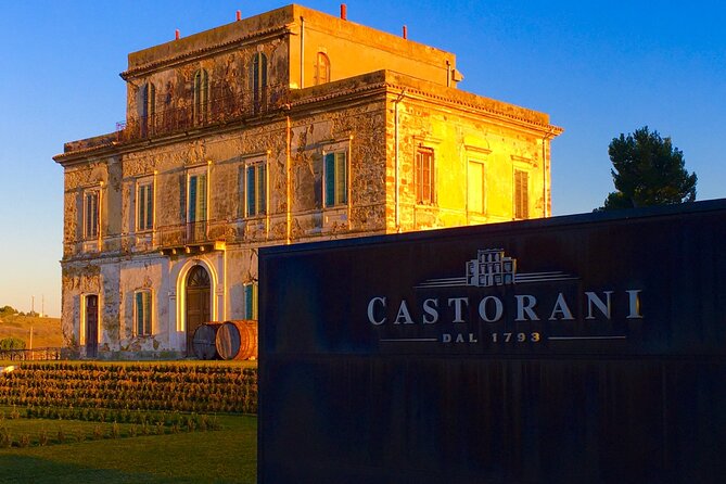 Winery Tour and Wine Tasting in Montepulciano Dabruzzo - History of Winemaking