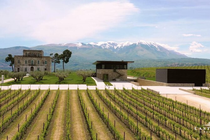 Winery Tour and Wine Tasting in Montepulciano Dabruzzo - Joyful Wine Tasting