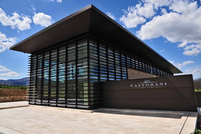 Winery Tour and Wine Tasting in Montepulciano Dabruzzo - Phases of Wine Production