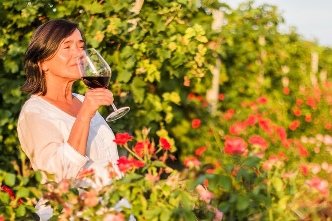 Winery Tour and Wine Tasting in Montepulciano Dabruzzo - Inclusions and Pricing