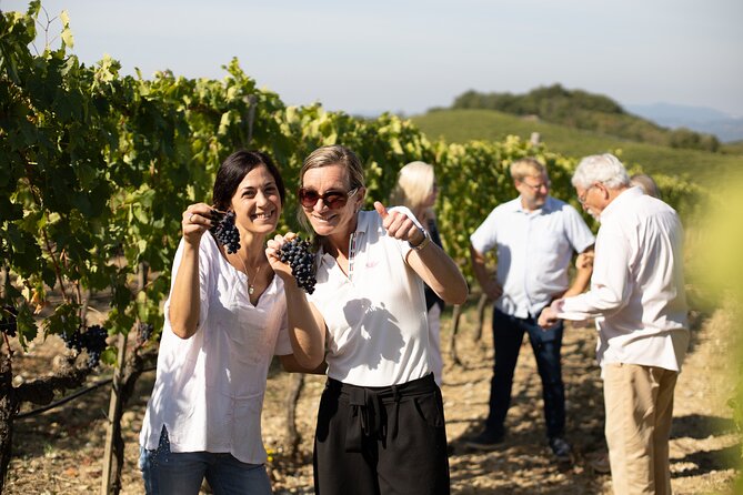 Winery Tour & Gourmet Tasting in Montalcino - Intimate Group Size