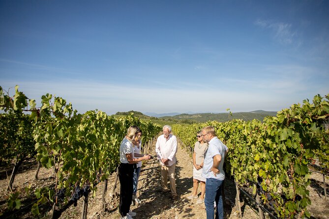Winery Tour & Gourmet Tasting in Montalcino - Meeting and Location