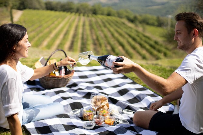 Winery Tour & Picnic in the Vineyard With a Bottle of Wine - Recap
