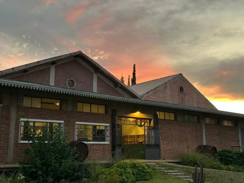 Winery Tour With 4-Course Creole Lunch at the Winery. All Included! - Organic Winery Experience