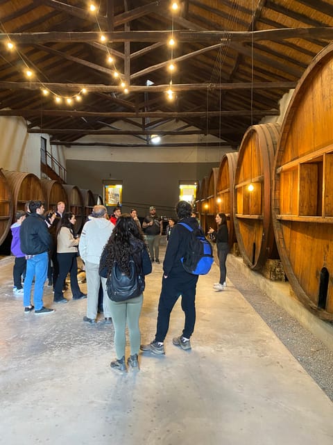 Winery Tour With 4-Course Creole Lunch at the Winery. All Included! - Traditional Winery Experience