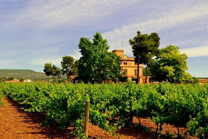 Winery Tour With Private Luxury Vehicle From Barcelona With Hotel Pick up - Inclusions