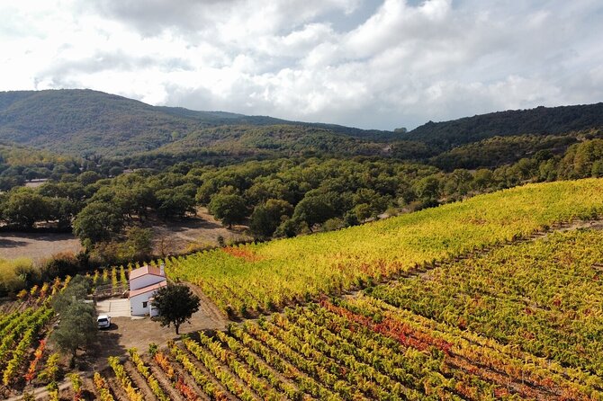 Winery Tour With Wine and Food Tasting in Nuoro - About Your Stay