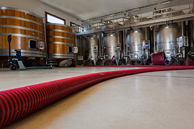 Winery Tour With Wine and Food Tasting in Nuoro - Accessibility and Transportation