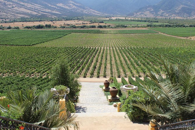 Winery & Valparaiso Private Tour - Day Trip From Santiago - Key Points