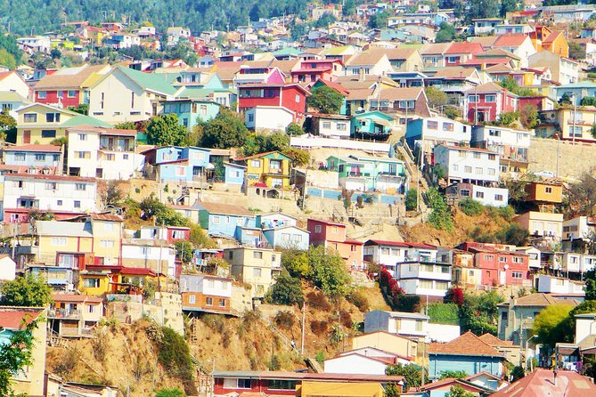 Winery & Valparaiso Private Tour - Day Trip From Santiago - Traveler Experience and Reviews