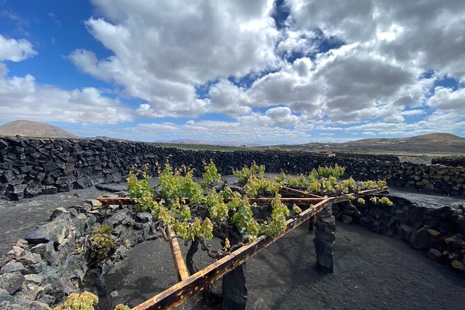 Winery Visit and Tasting in Lanzarote - Sampling Lanzarotes Unique Malvasía Wines