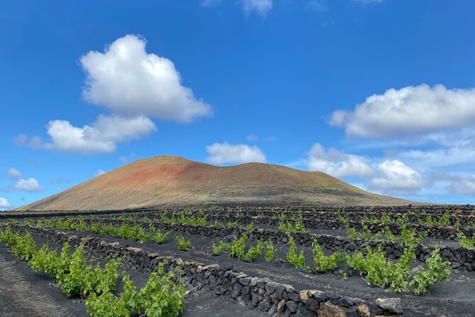 Winery Visit and Tasting in Lanzarote - Personalized Experience and Group Size