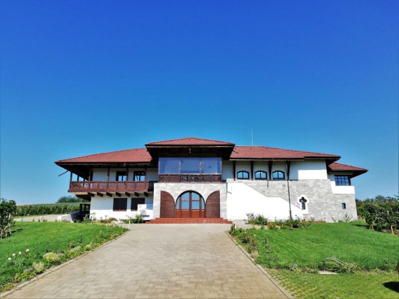Winery Visit & Wine Tasting: Half-Day Tour - Wine Region