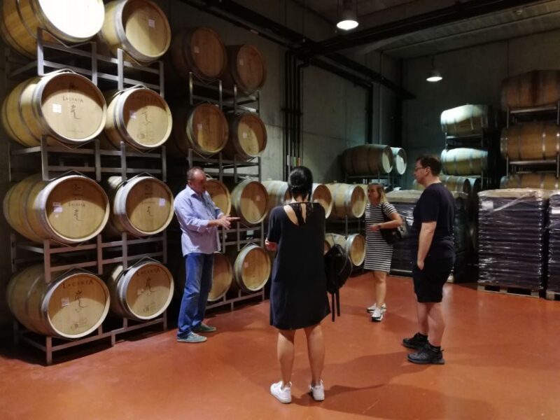 Winery Visit & Wine Tasting: Half-Day Tour - Itinerary Highlights