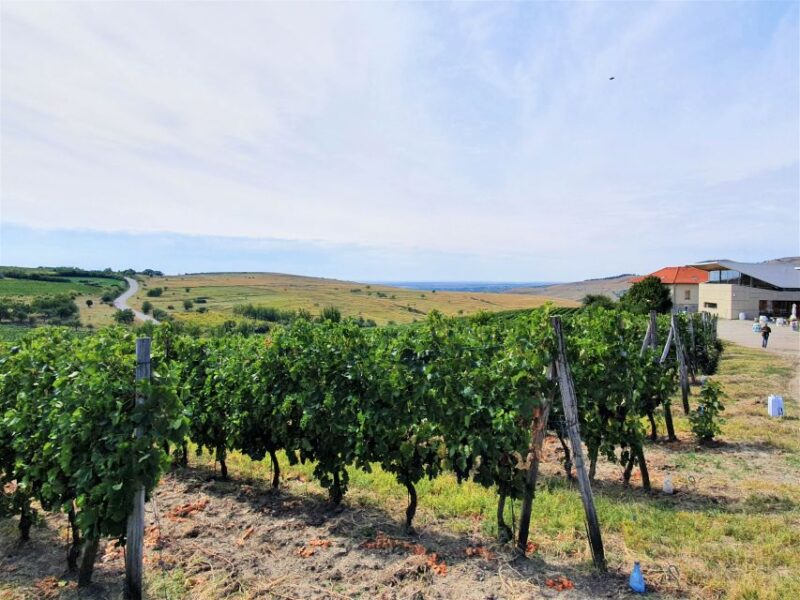 Winery Visit & Wine Tasting: Half-Day Tour - Booking Information