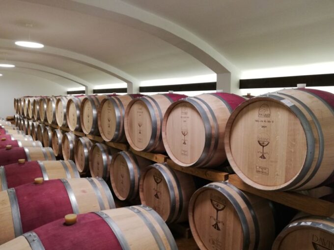 Winery Visit & Wine Tasting: Half-Day Tour - What to Expect