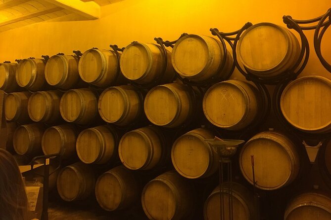 Winery Visit With Food and Wine in Carcassonne - Conveniently Located Meeting Point