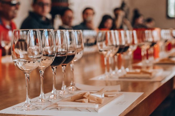 Wines and Paisajes: Unique Experience in Concha and Toro - Tour Inclusions and Meeting Points