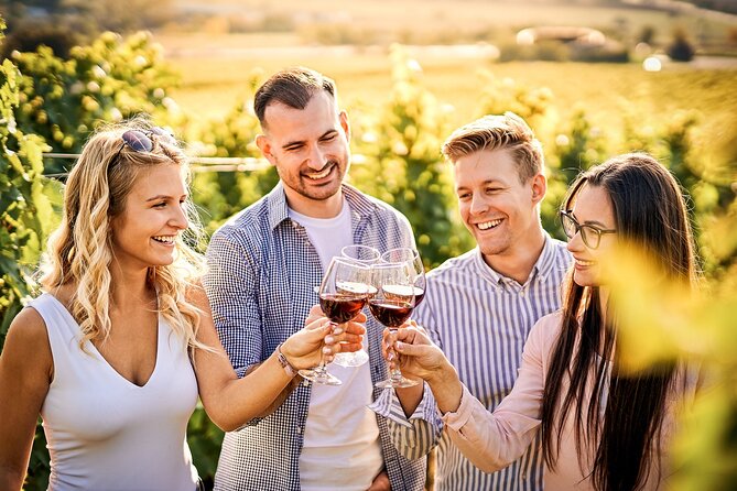 Wines and Views Private Wine Tour of Otago From Queenstown - Scenic Winery Experiences