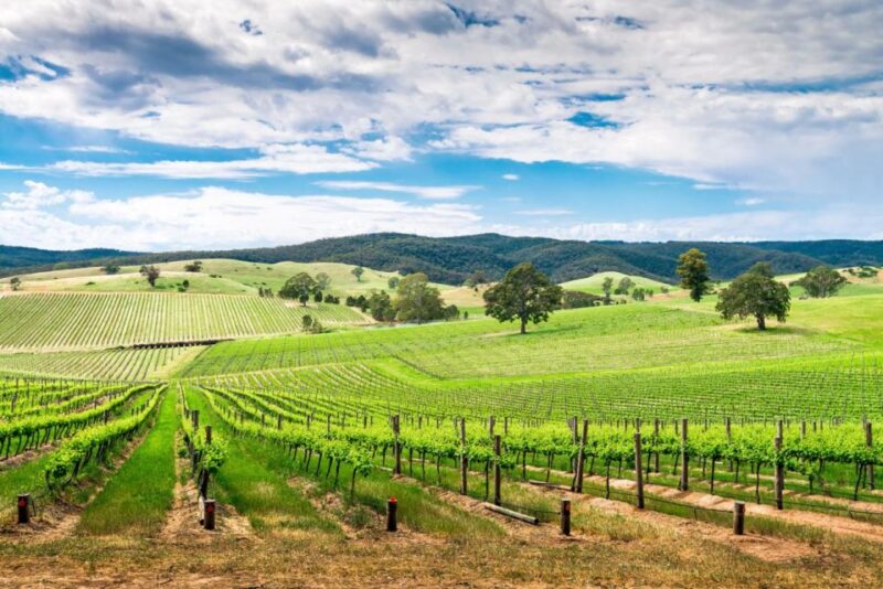 Wines and Whispers: a Barossa Valley Wine Tour From Adelaide - Wine Tasting in Three Wineries