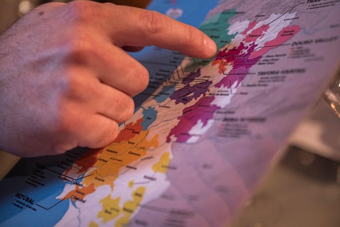 Wines of Portugal - North to South Tasting - Discovering Douros Robust Red Wines