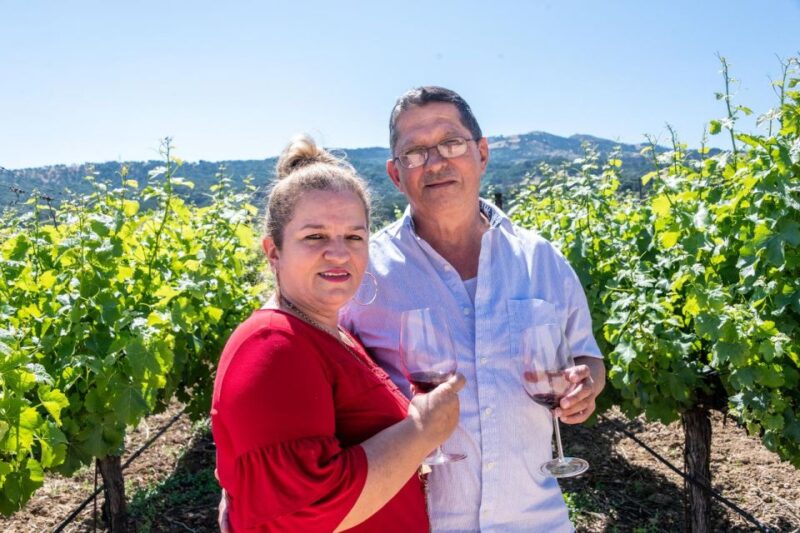Wines, Olives, and History: a Private Wine Tour From Chania - Anoskeli Winery Olive Mill Tour