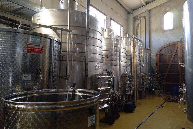 Wines Tasting and Typical Breakfast Small Group Tour From Girona - Inclusions and Logistics