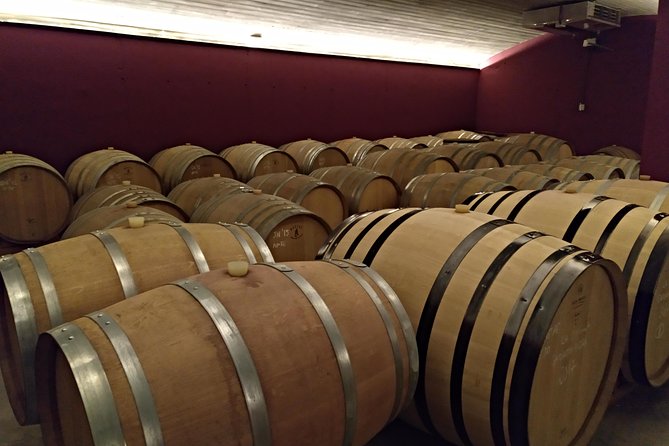 Wines Tasting and Typical Breakfast Small Group Tour From Girona - Traveler Feedback