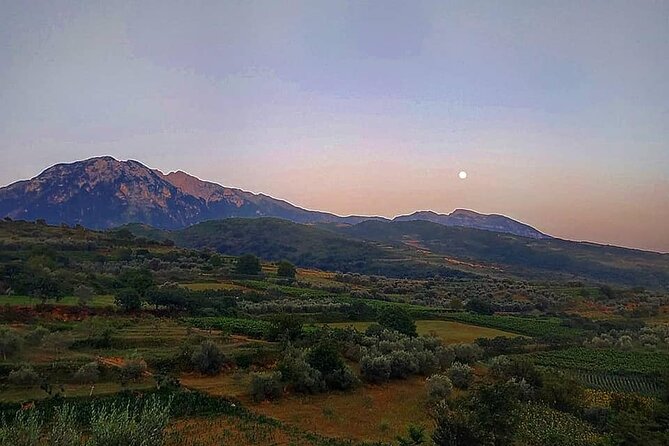 Winetasting Tour in Alpeta Winery - Roshnik Village by 1001 Albanian Adventures - Exploring Roshnik Village