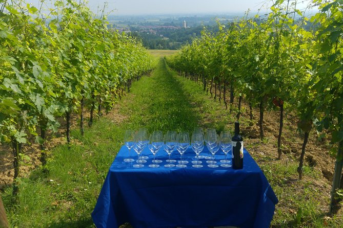 Winetour and Tasting on Bologna Hills, Guided by the Wine Grower - Wine Varietals and Sample Menu