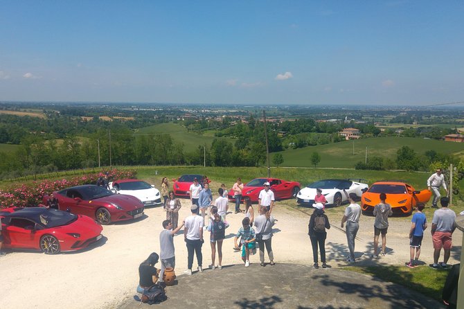 Winetour and Tasting on Bologna Hills, Guided by the Wine Grower - Tour Availability and Accessibility