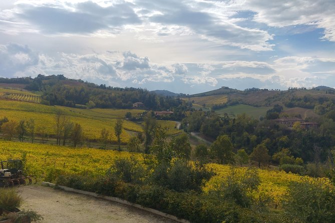 Winetour and Tasting on Bologna Hills, Guided by the Wine Grower - Pricing and Booking Details