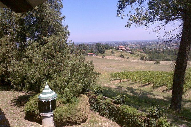 Winetour and Tasting on Bologna Hills, Guided by the Wine Grower - Insights From Wine Producers